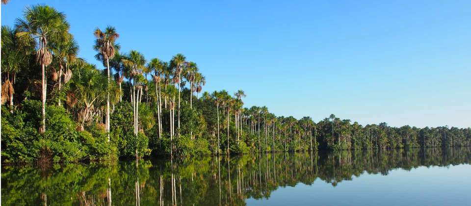Best of South America - undefined - Image 11