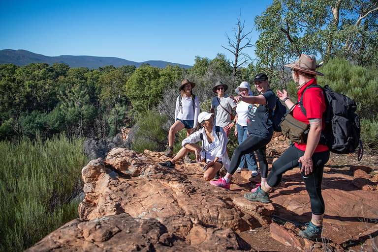 Best of South Australia trip - alternative tour available