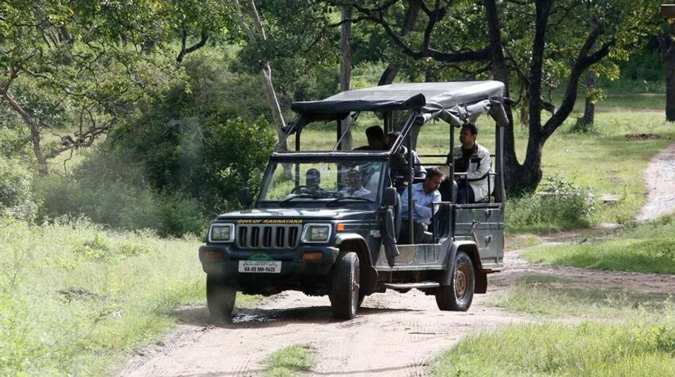 Best of South India: Hill Stations + Wildlife + Kerala - Memorable India Journeys Pvt. Ltd. - India - Image 4