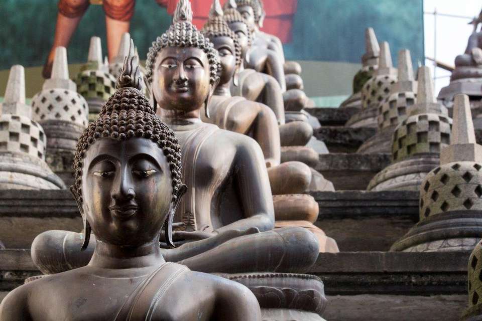 Best Of Sri Lanka 10 Days, Private Tour - Destination Services - Sri Lanka - Image 5