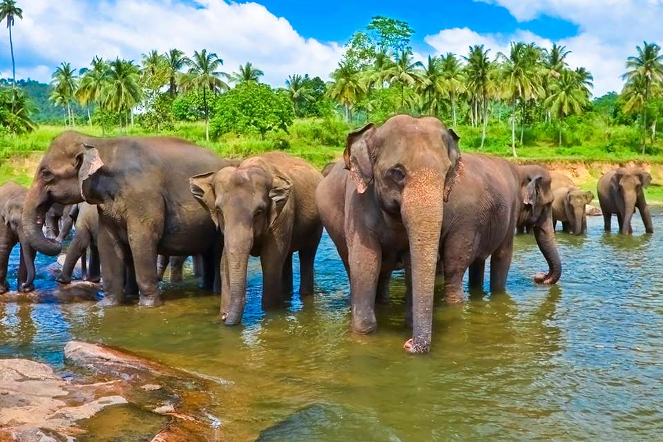 Best of Sri Lanka - Intrepid Travel - Sri Lanka - Image 16