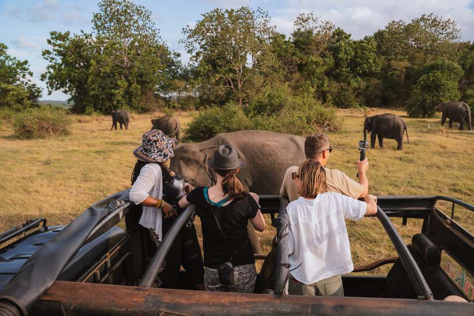 Best of Sri Lanka - Exodus Adventure Travels - Sri Lanka - Image 17