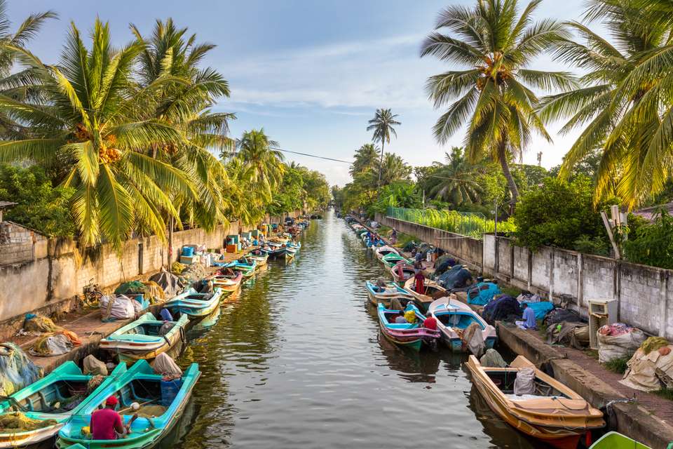 Best of Sri Lanka - Exodus Adventure Travels - Sri Lanka - Image 4