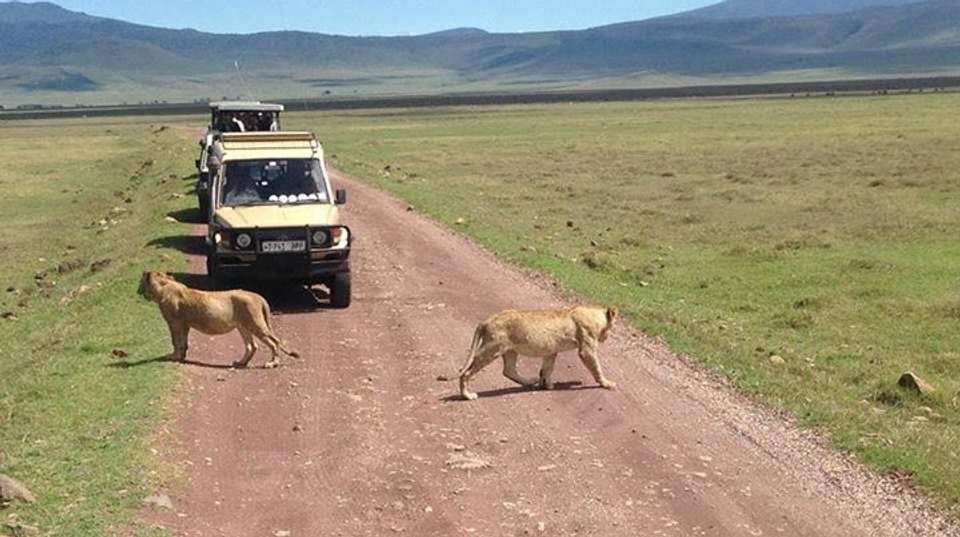 Best of Tanzania Safari Luxury Adventure Tour - Anapa Travel Africa Tours - Tanzania - Image 3