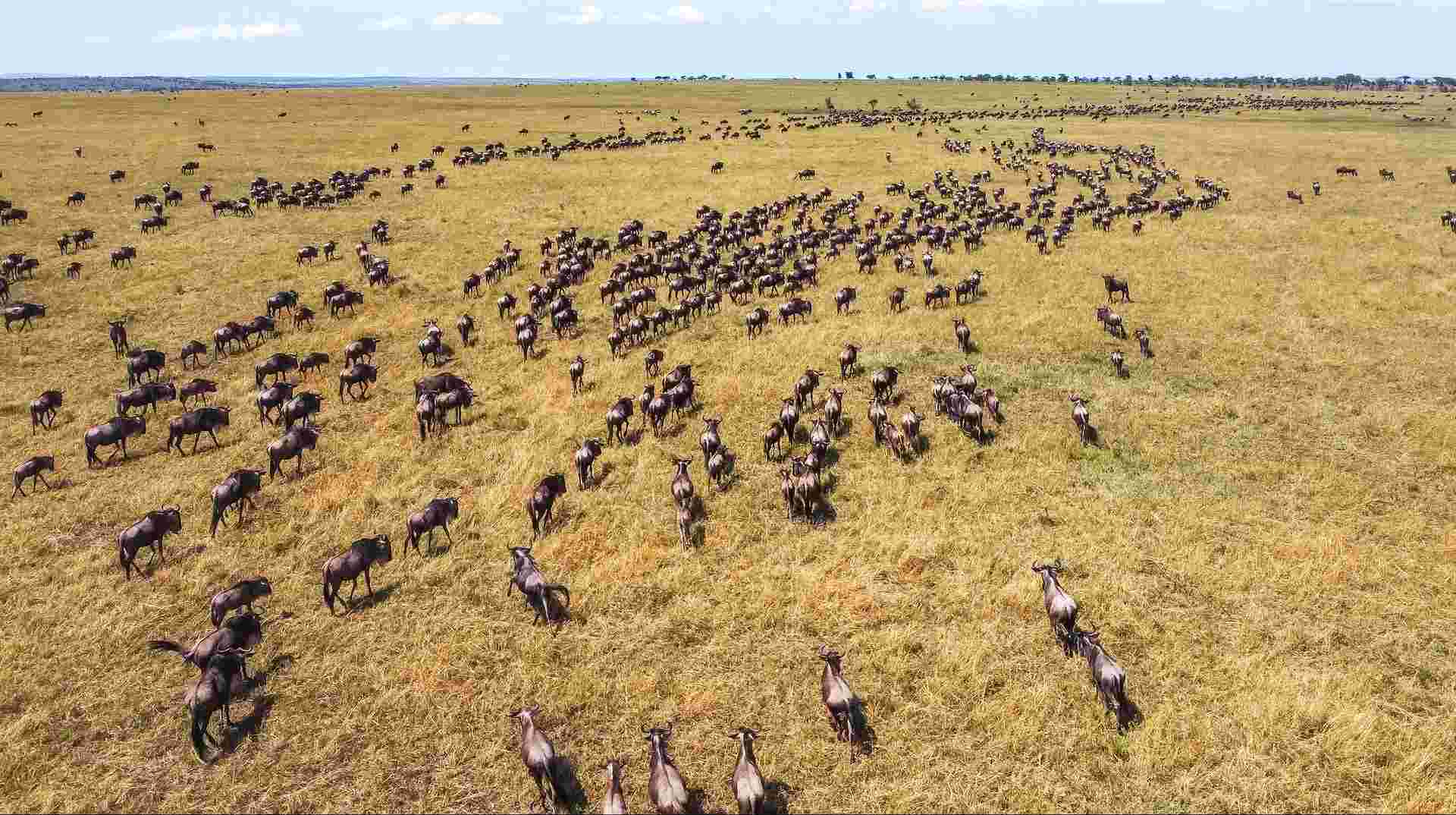 Best of Tanzania: Northern Circuit in Six Days