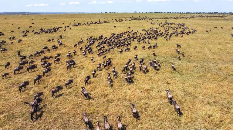 Best of Tanzania: Northern Circuit in Six Days trip - alternative tour available