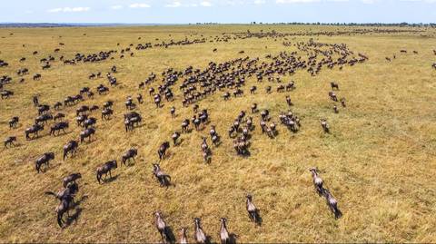 Best Of Tanzania: Northern Circuit In Six Days - April 2027