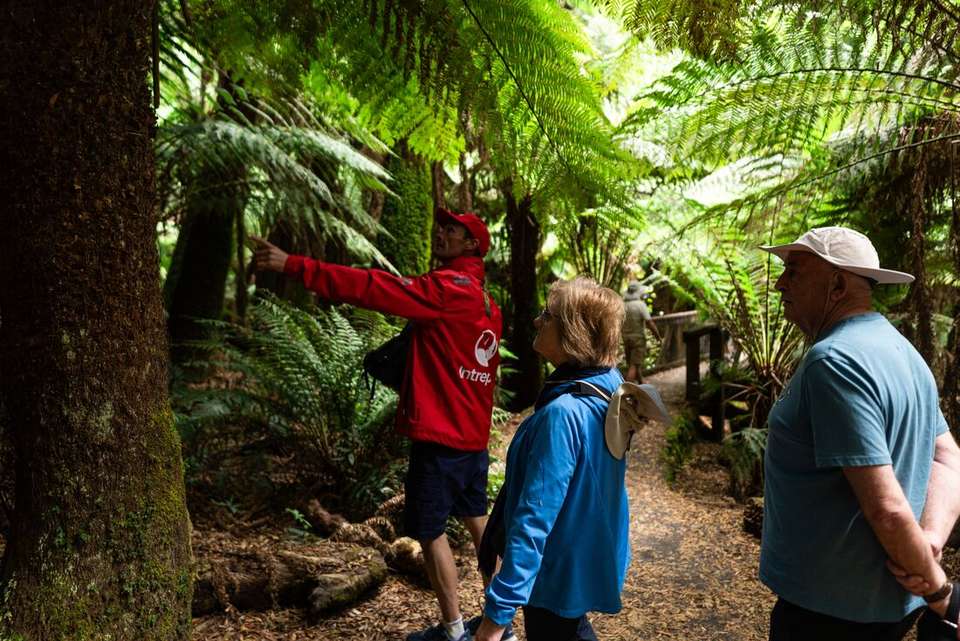 Best of Tasmania - Intrepid Travel - Australia - Image 15