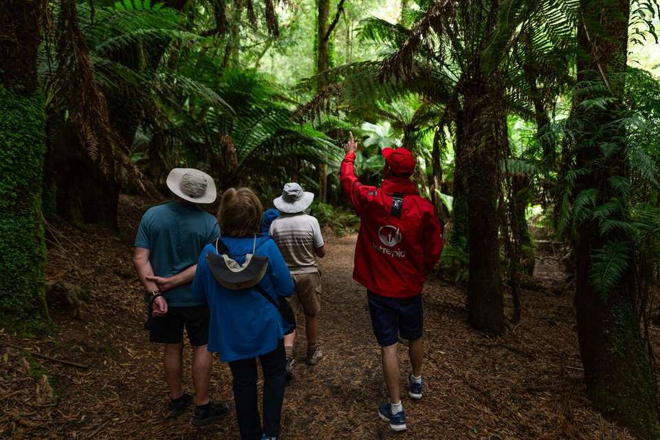 Best of Tasmania - Intrepid Travel - Australia - Image 13
