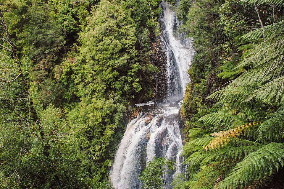 Best of Tasmania - Intrepid Travel - Australia - Image 8