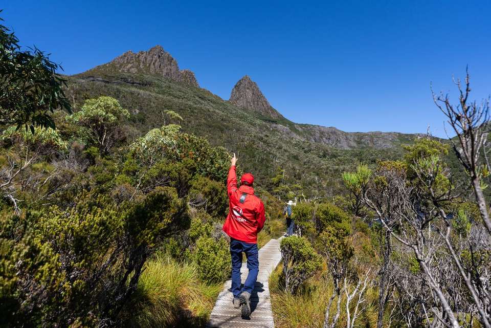 Best of Tasmania - Intrepid Travel - Australia - Image 7