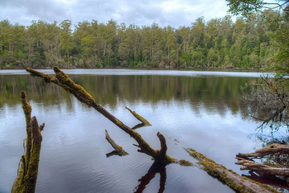 Best of Tasmania - Intrepid Travel - Australia - Image 4