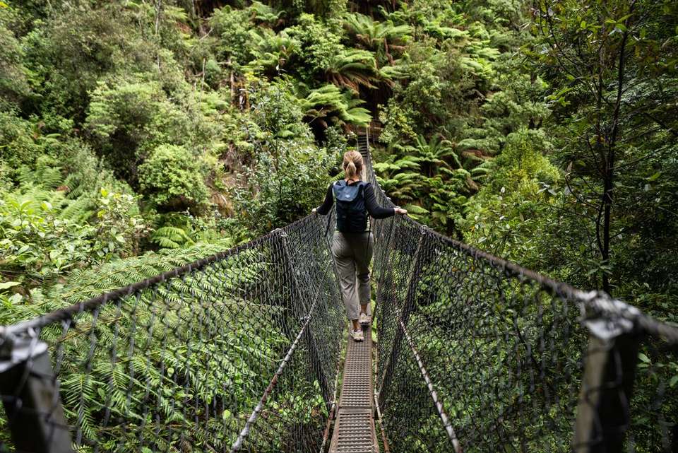 Best of Tasmania's Tarkine & Cradle Mountain - Intrepid Travel - Australia - Image 6