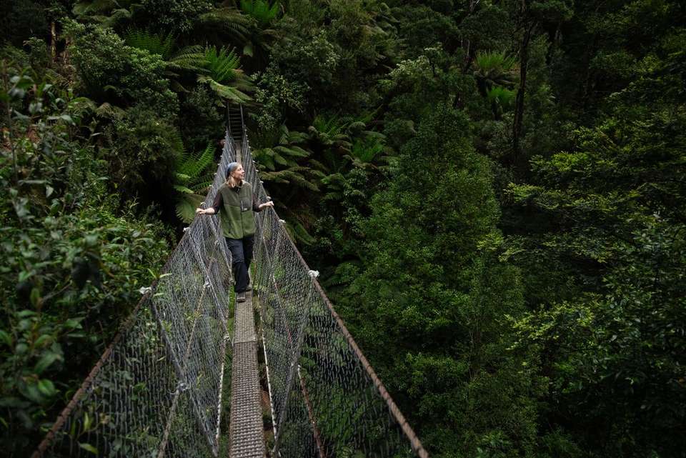 Best of Tasmania's Tarkine & Cradle Mountain - Intrepid Travel - Australia - Image 8