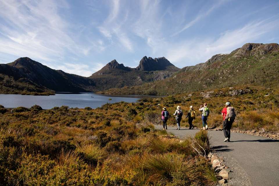 Best of Tasmania's Tarkine & Cradle Mountain - Intrepid Travel - Australia - Image 9