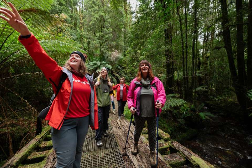 Best of Tasmania's Tarkine & Cradle Mountain - Intrepid Travel - Australia - Image 10