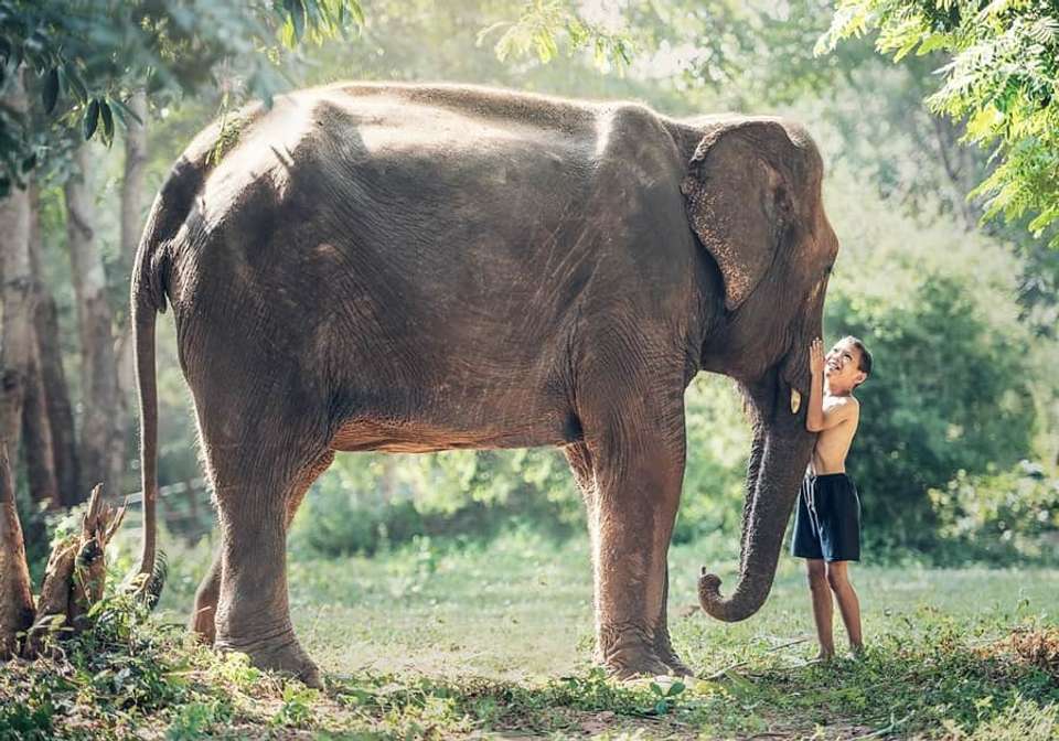 Best of Thailand - Indus Travels - Thailand - Image 9