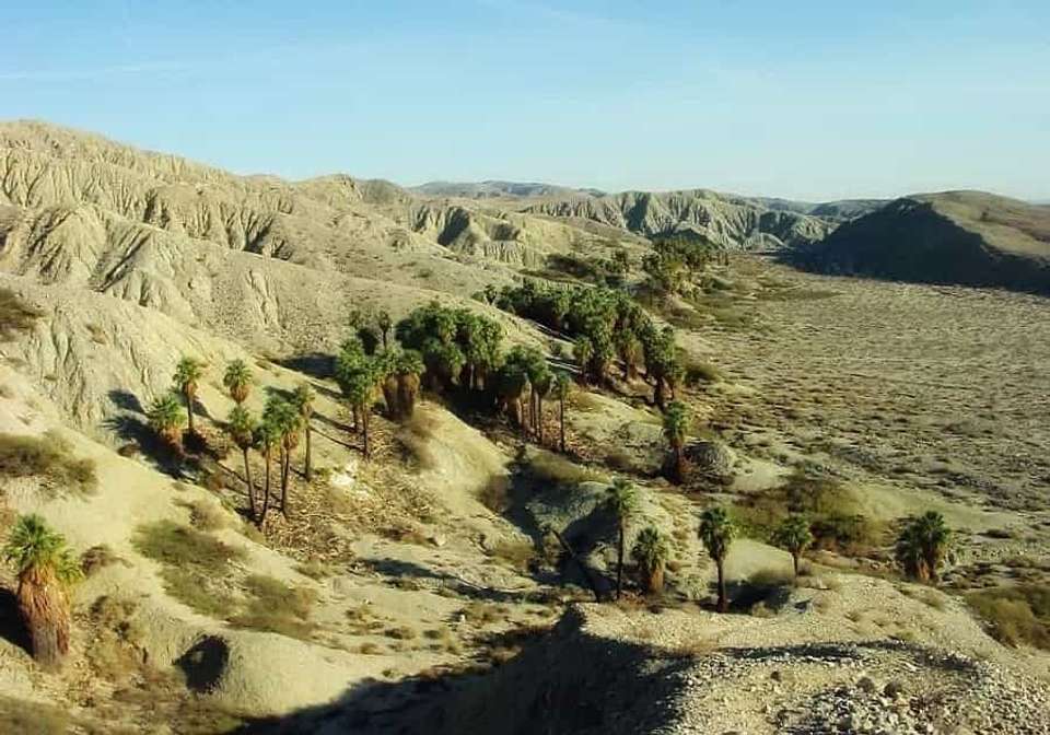Best of the American West - Indus Travels - USA - Image 2