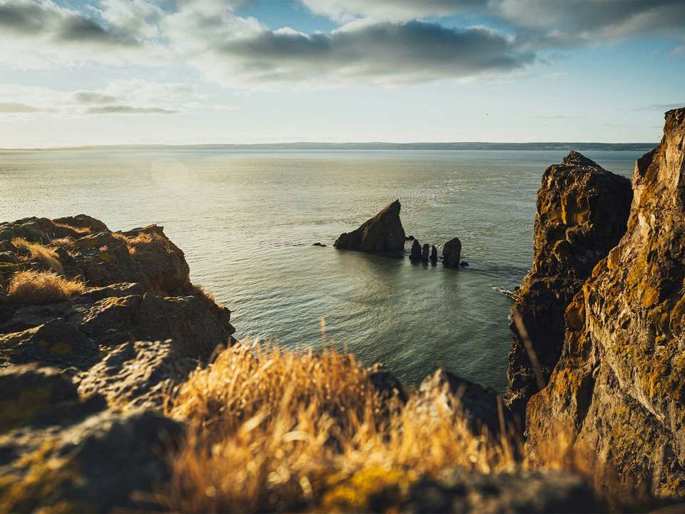 Best of the Bay of Fundy - 7 days - On The Go Tours - Canada - Image 4