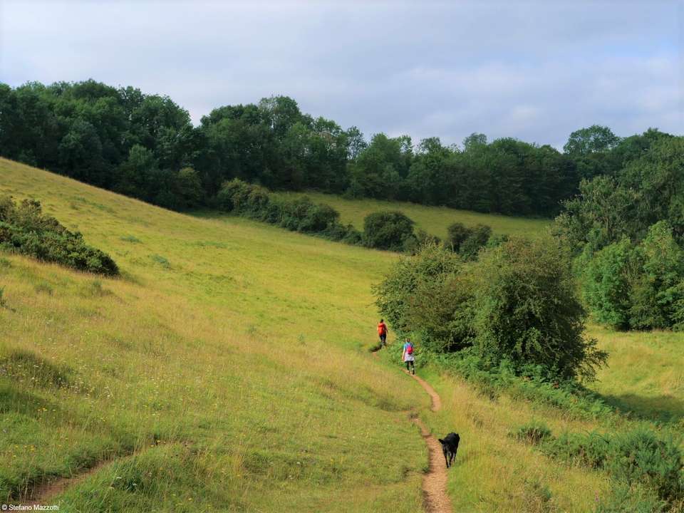 Best of the Cotswolds Self-Guided Walk - Exodus Adventure Travels - England - Image 2