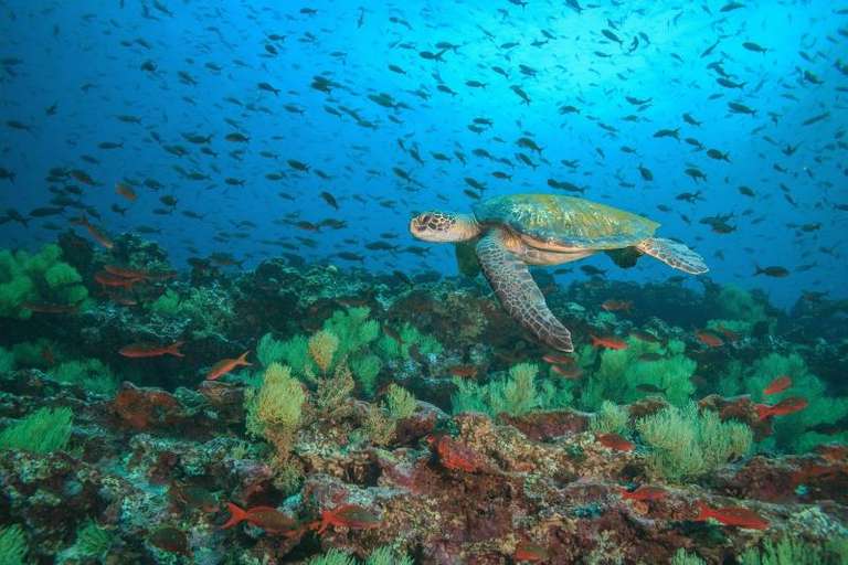 Best of the Galapagos trip - alternative tour available