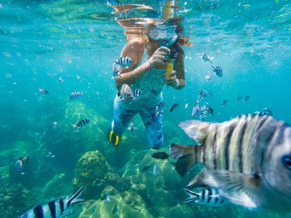 Best of the Galapagos - Encounters Travel - Ecuador - Image 4