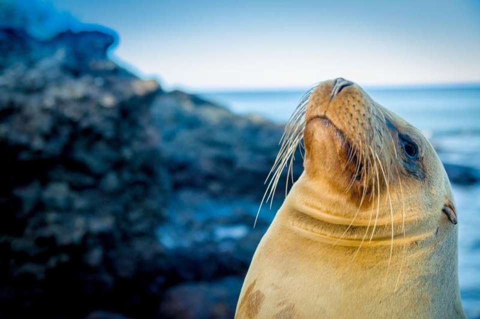 Best of the Galapagos - Encounters Travel - Ecuador - Image 6