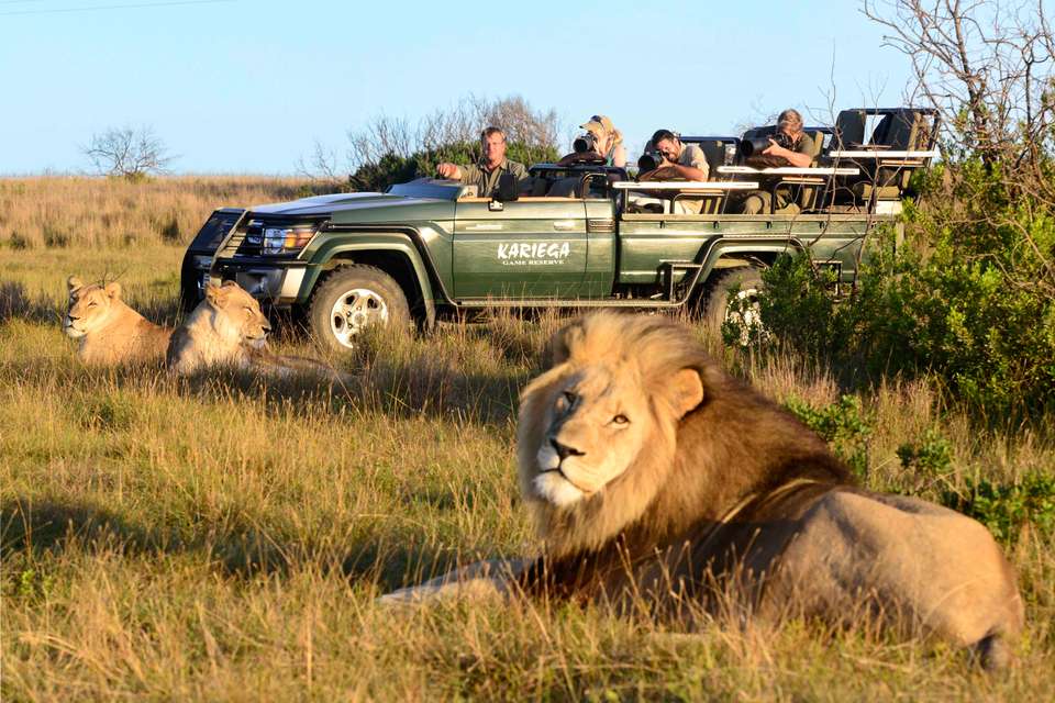 Best of the Garden Route - Premium Adventure - undefined - Image 14