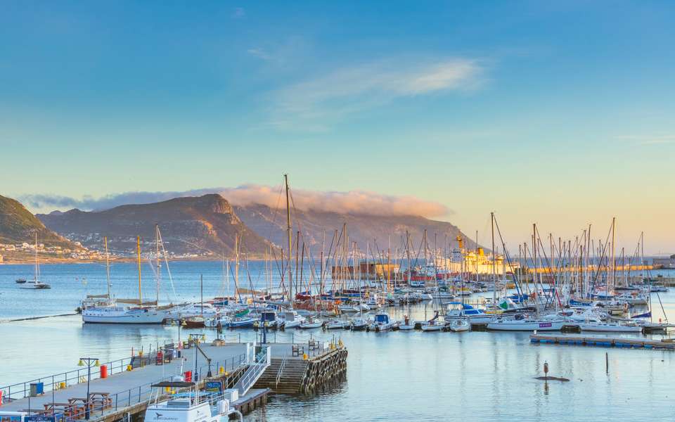 Best of the Garden Route - Premium Adventure - undefined - Image 12