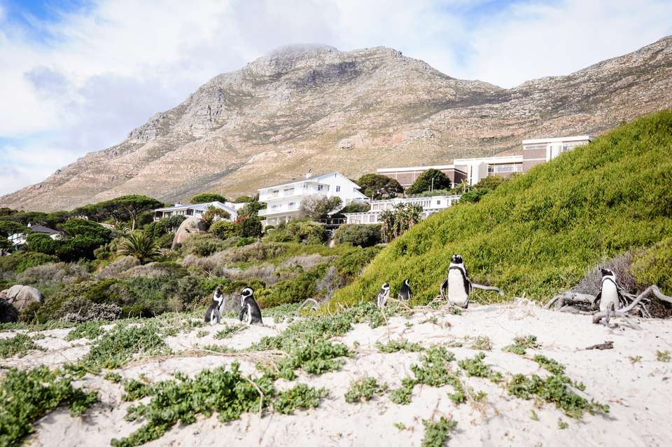 Best of the Garden Route - Premium Adventure - undefined - Image 11