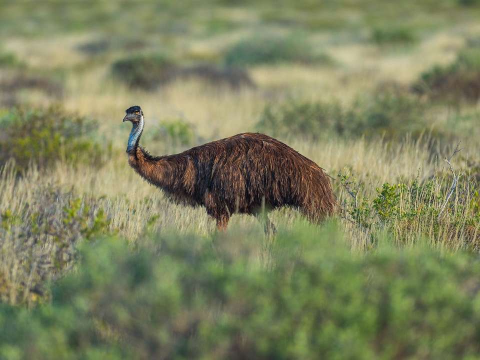 Best of the Great Ocean Road & Grampians - 3 days - On The Go Tours - Australia - Image 2