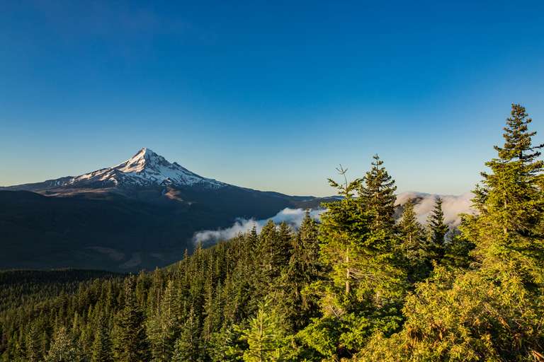 Best of the Pacific Northwest trip - alternative tour available