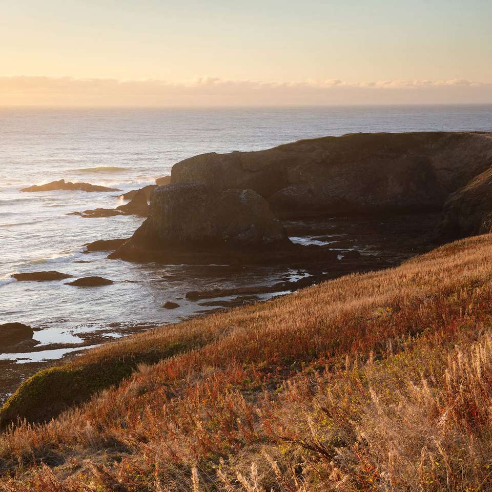 Best of the Pacific Northwest - Trafalgar - USA - Image 5