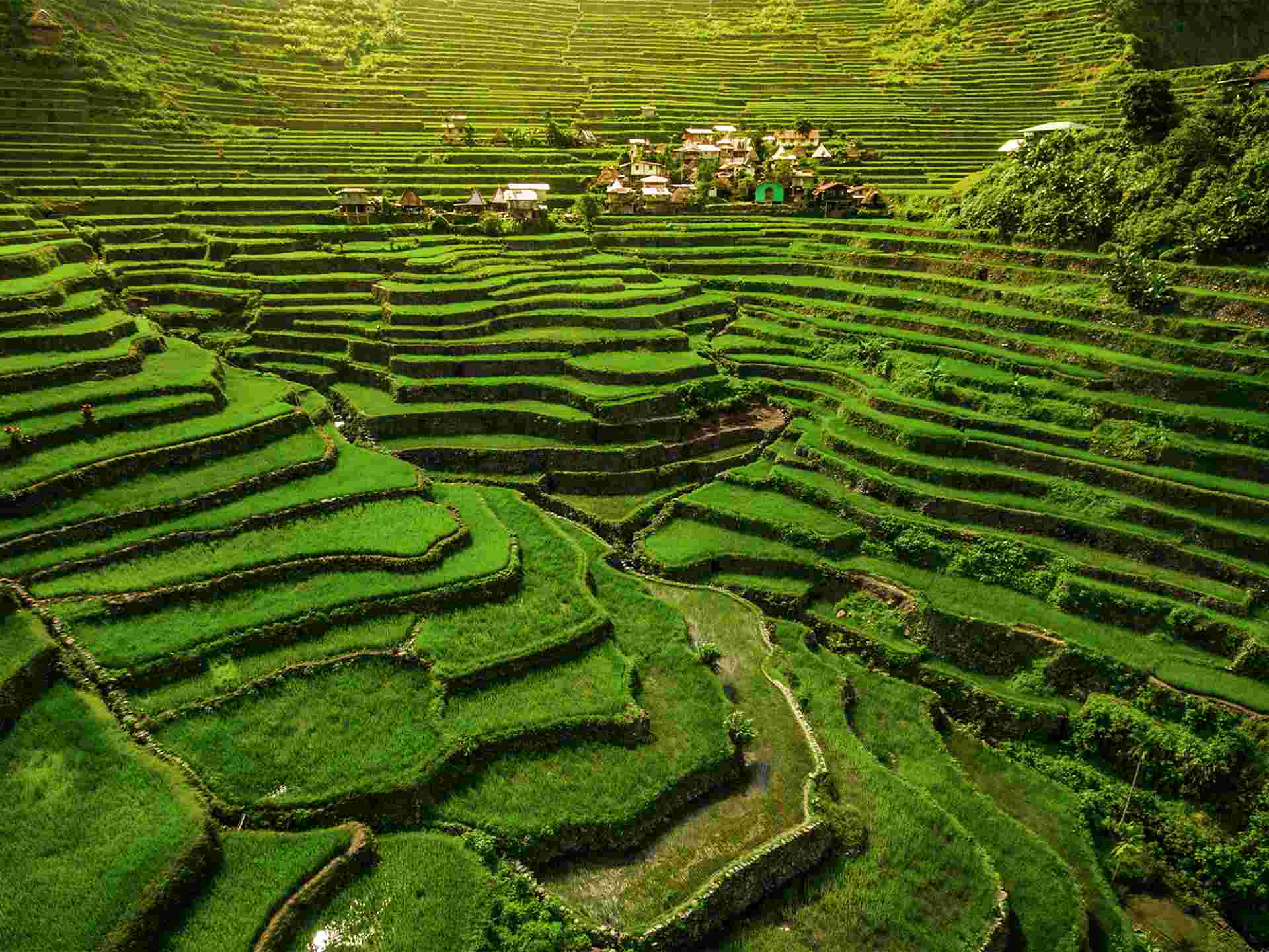 Best of the Philippines - 14 days