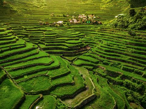 Best Of The Philippines - 14 Days