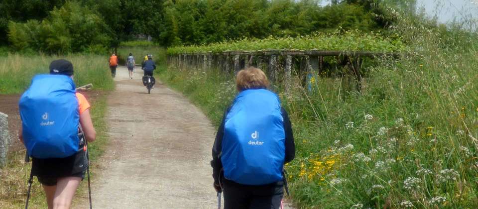 Best of the Portuguese Camino Guided Walk - Utracks - Portugal - Image 5