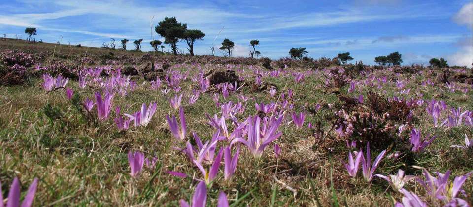 Best of the Spanish Camino Guided Walk - Utracks - Spain - Image 6