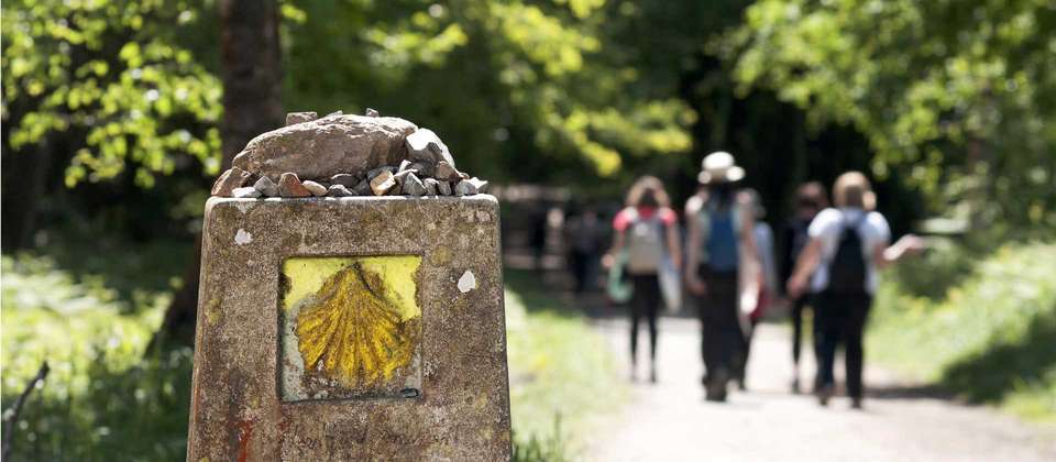 Best of the Spanish Camino Guided Walk - Utracks - Spain - Image 7