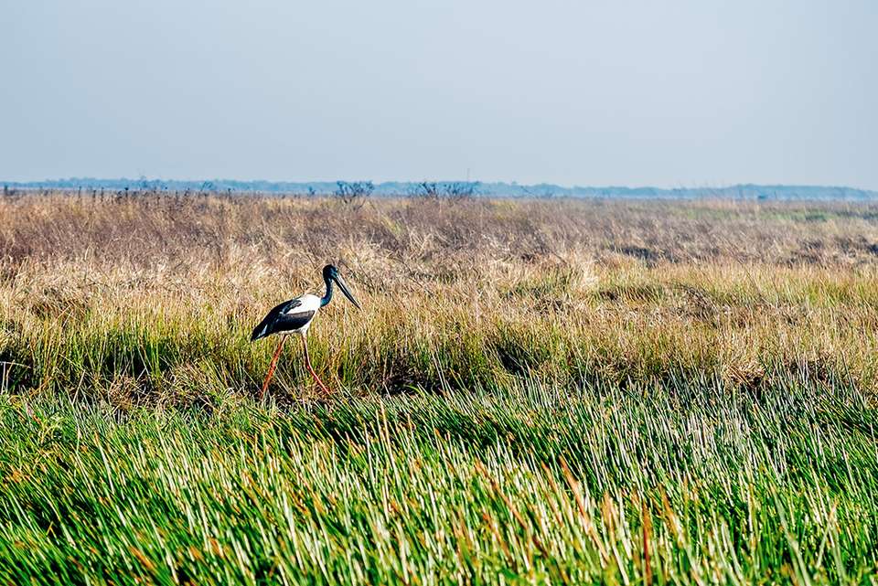 Best of the Top End & Kakadu - Intrepid Travel - Australia - Image 6