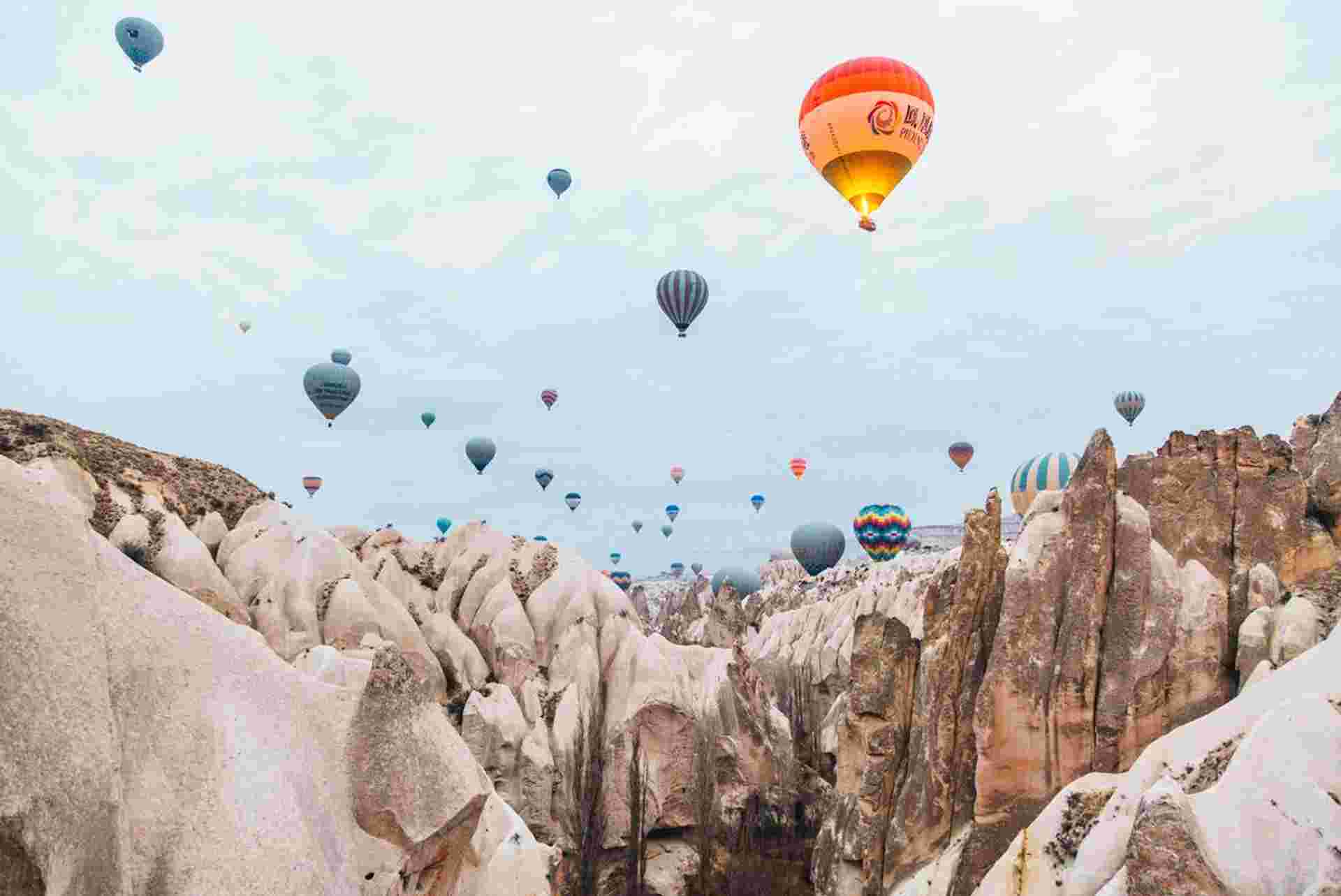 Best of Turkey
