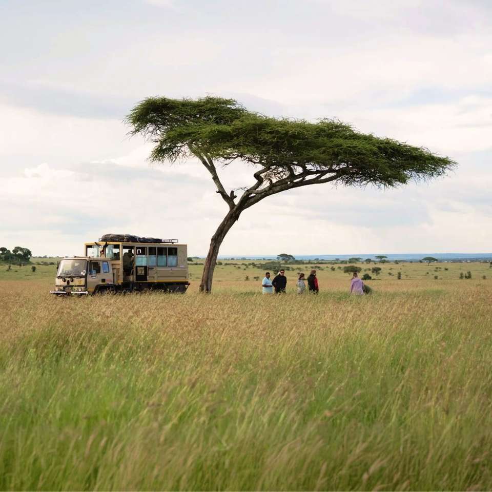 Best of Uganda, Kenya and Tanzania - undefined - Image 1