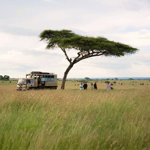 Young Travelers: Best Of Uganda, Kenya And Tanzania