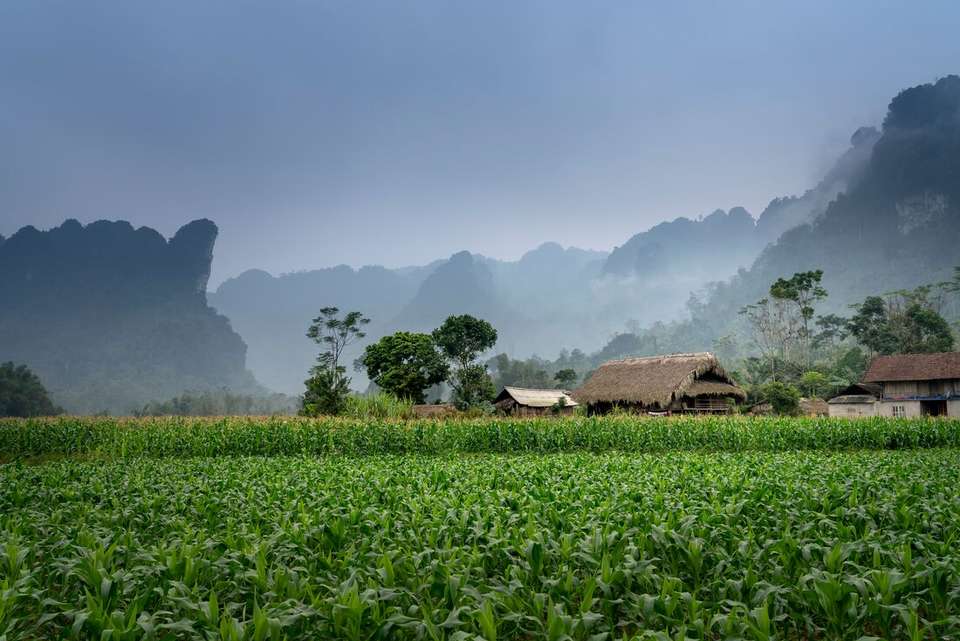 Best of Vietnam - Intrepid Travel - Vietnam - Image 2