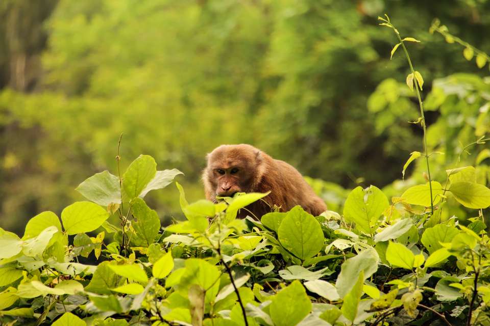 Best of Vietnam - Premium Adventure - Exodus Adventure Travels - Vietnam - Image 17