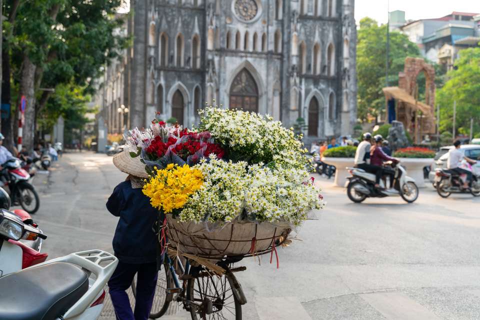 Best of Vietnam - Premium Adventure - Exodus Adventure Travels - Vietnam - Image 13