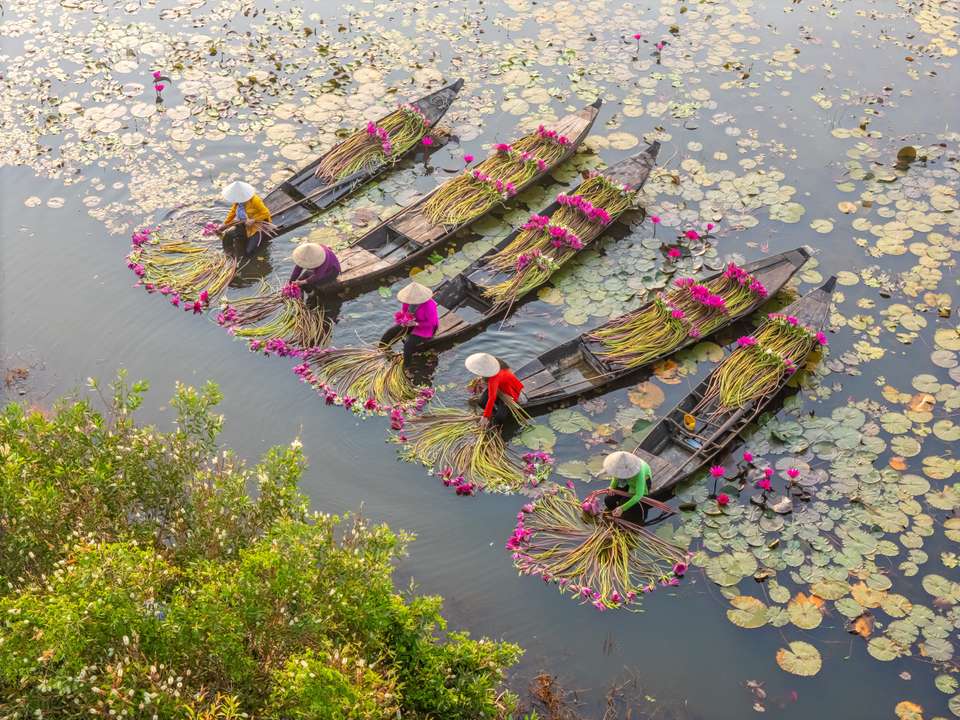 Best of Vietnam - Premium Adventure - Exodus Adventure Travels - Vietnam - Image 10