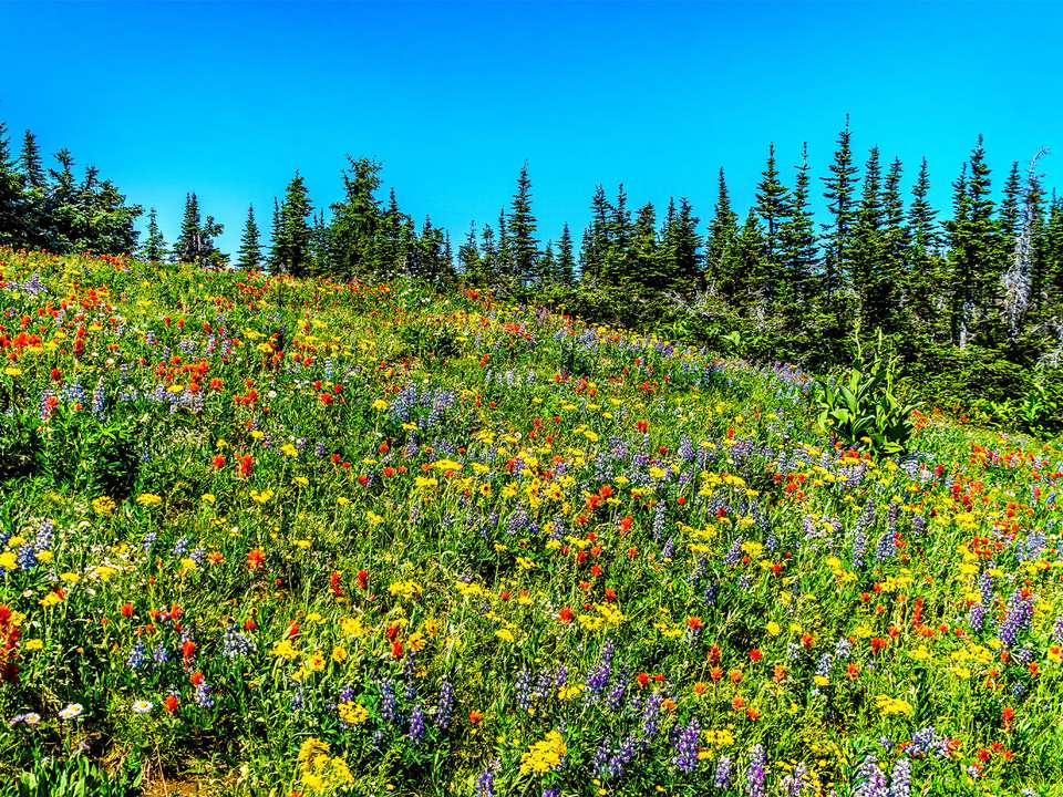 Best of West Canada - 8 days - On The Go Tours - Canada - Image 2