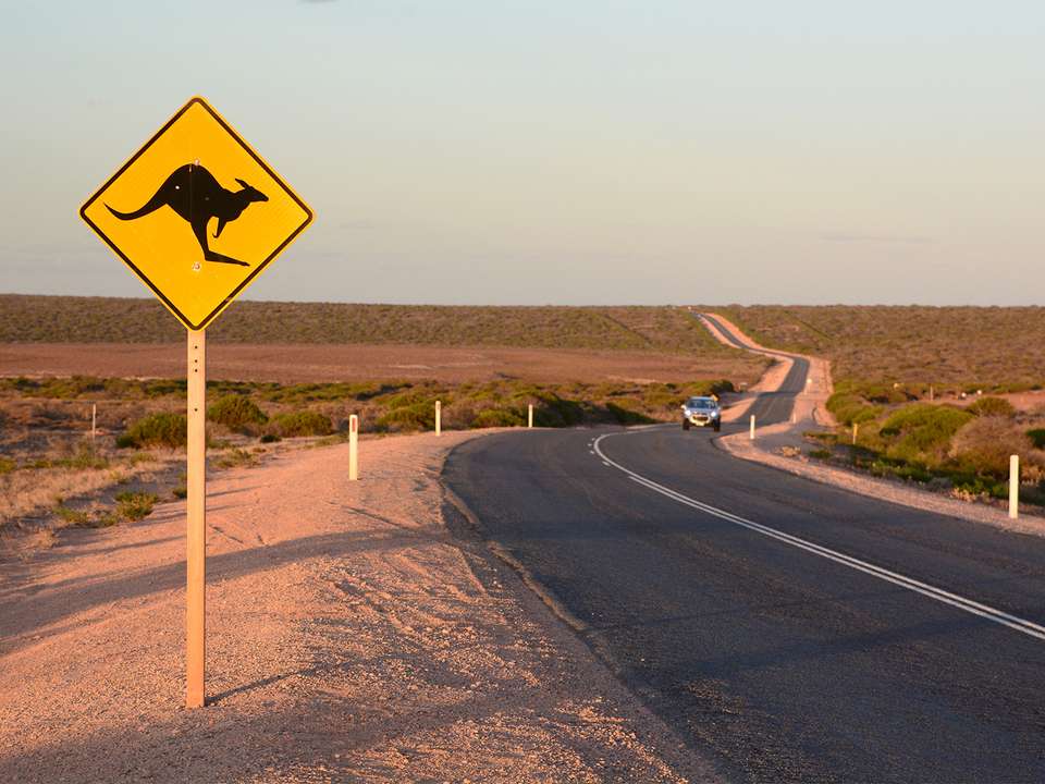 Best of Western Australia’s North Coast - 7 days - On The Go Tours - Australia - Image 2