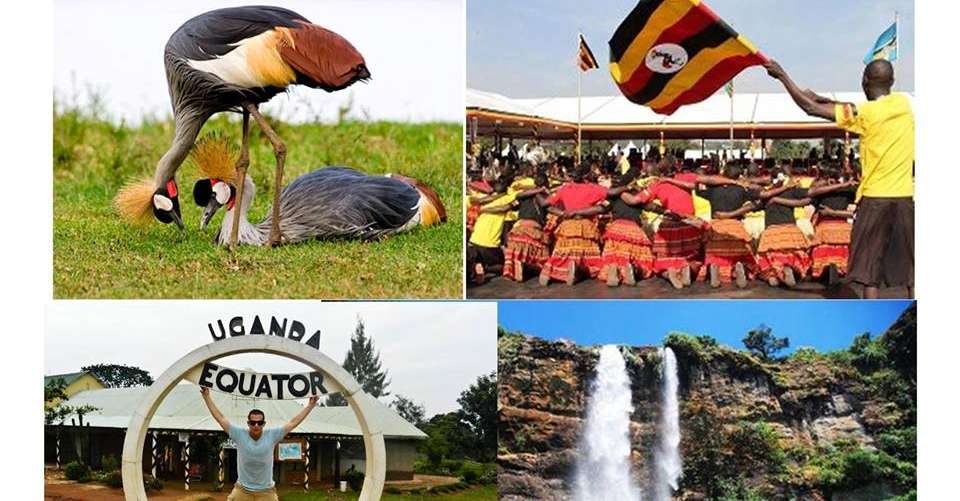 Best of Western Uganda Safari - Mak Global Consults Tours & Travel - Uganda - Image 2