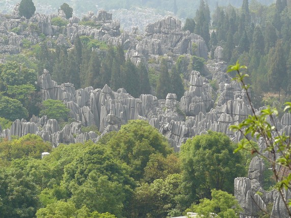 Image 2 of 10